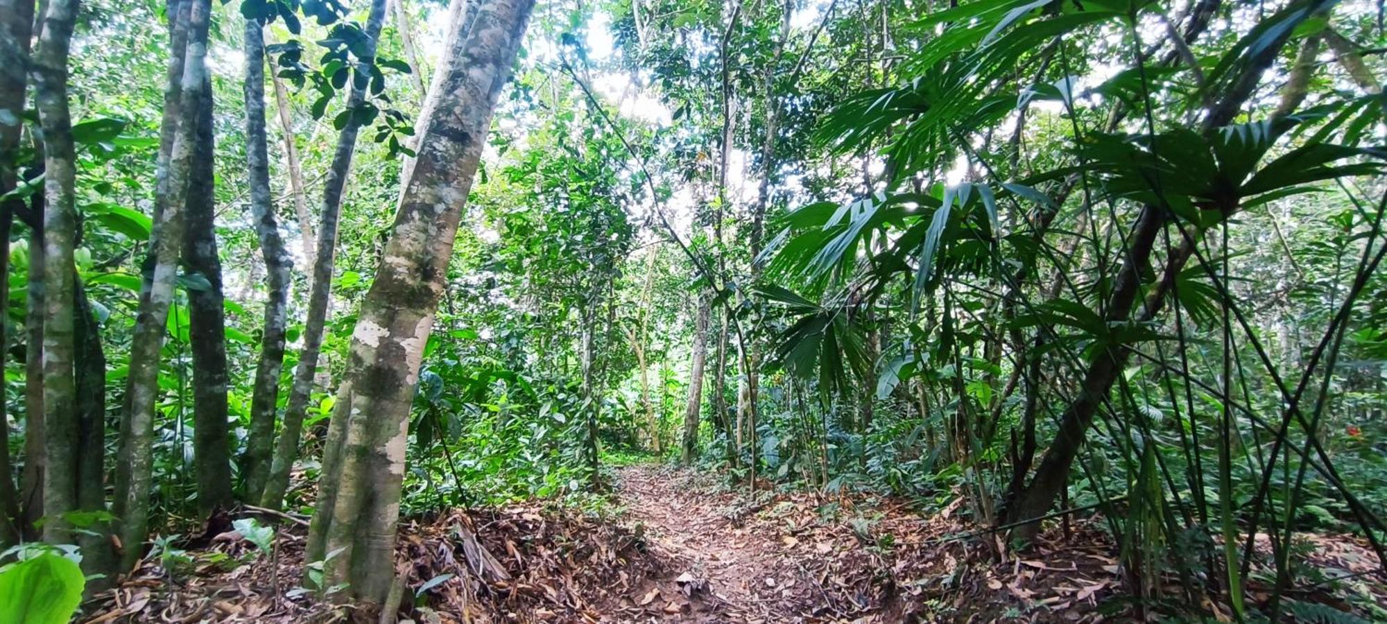 Hotel Ecologico Makalombia La Macarena Екстериор снимка