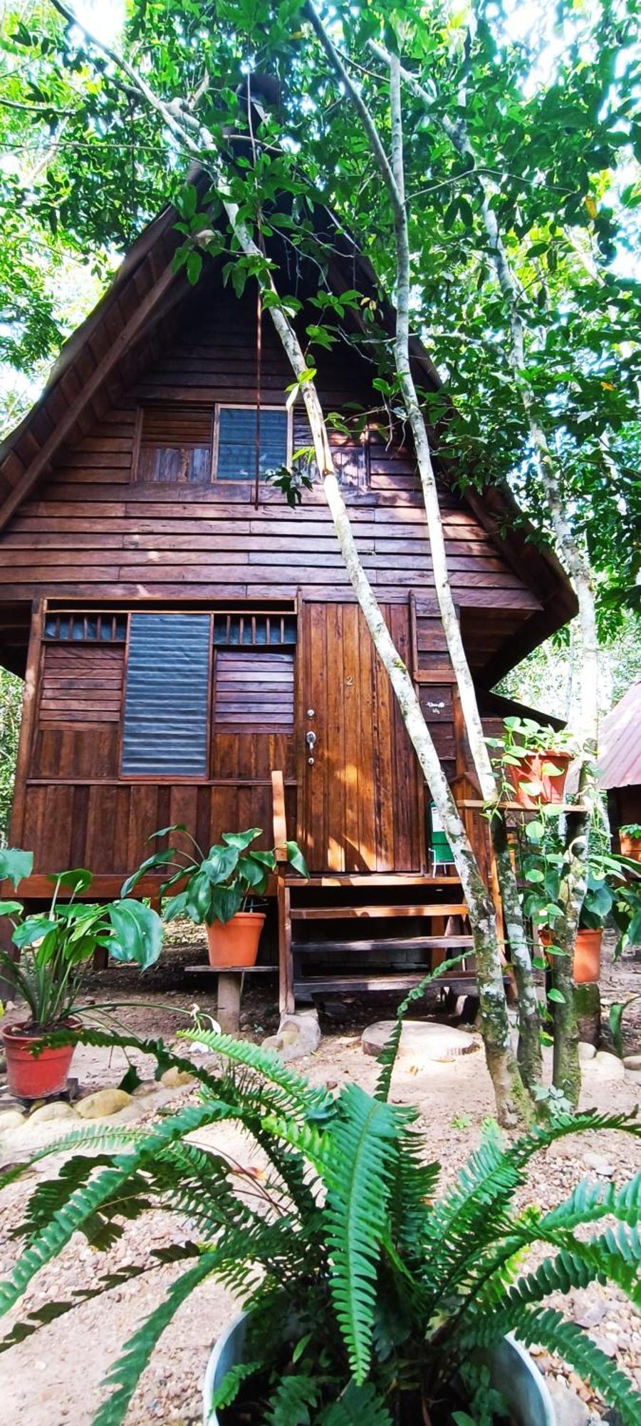 Hotel Ecologico Makalombia La Macarena Екстериор снимка