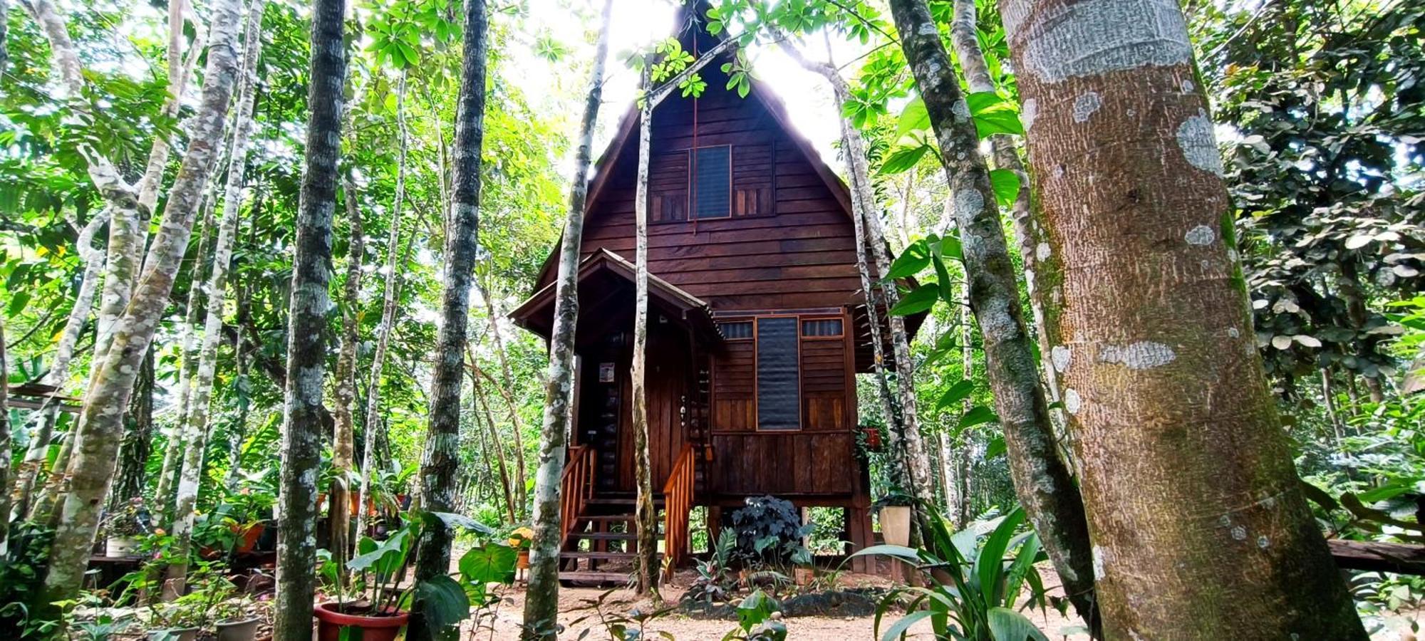 Hotel Ecologico Makalombia La Macarena Екстериор снимка